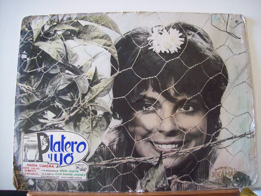 PLATERO Y YO