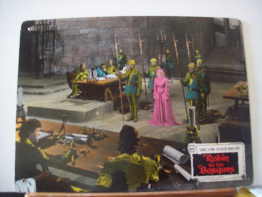 ROBIN DE LOS BOSQUES