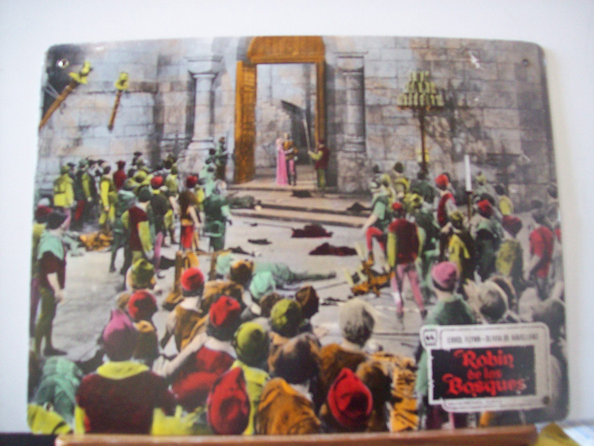 ROBIN DE LOS BOSQUES