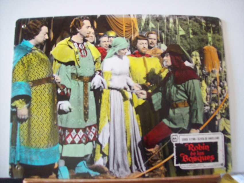 ROBIN DE LOS BOSQUES