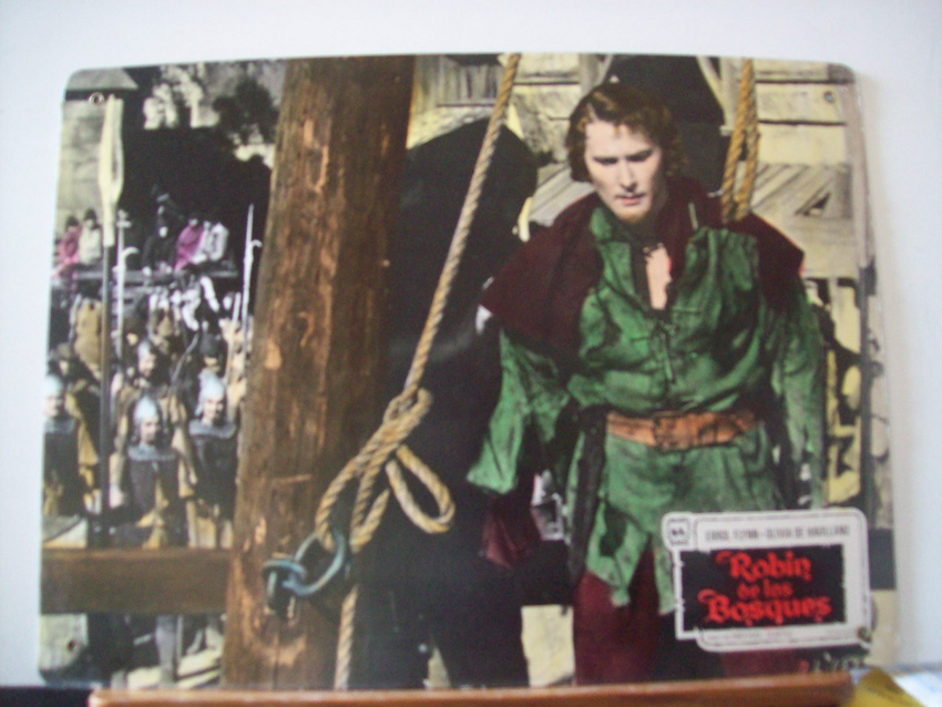 ROBIN DE LOS BOSQUES