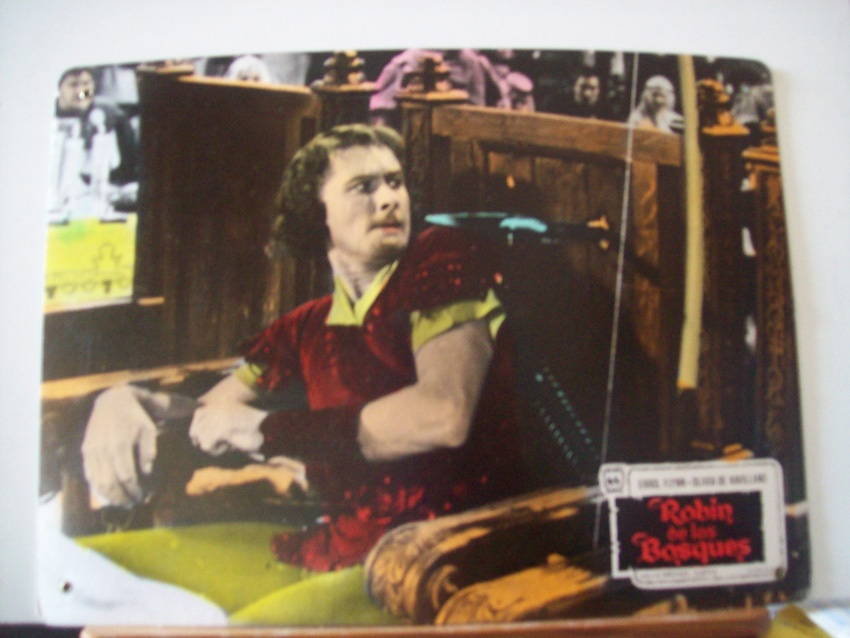 ROBIN DE LOS BOSQUES