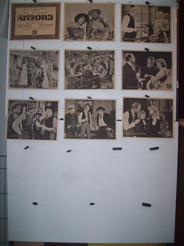 EL TIGRE DE ARIZONA / set 9