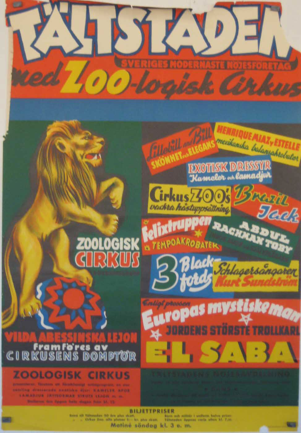 TALTSTADEN WED ZOO LOGISK CIRKUS