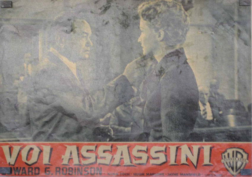 VOI ASSASSINI