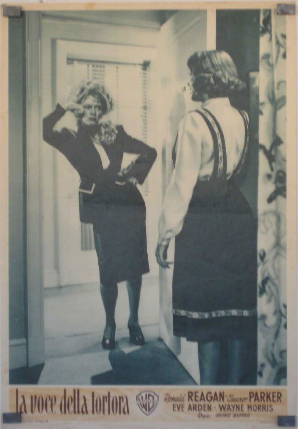 LA VOCE DELLA TORTORA