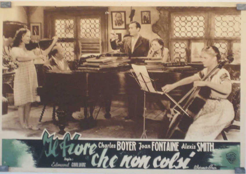 IL FIORE CHE NON COLSI