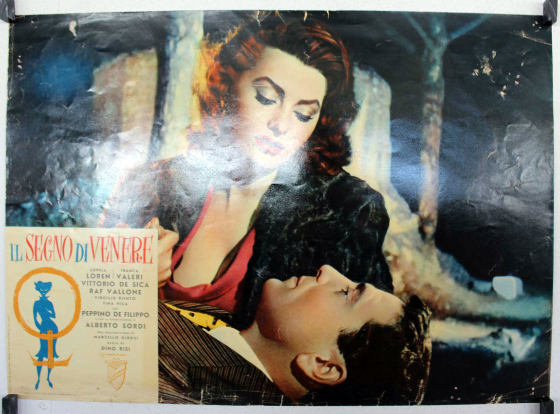 IL SEGNO DI VENERE
