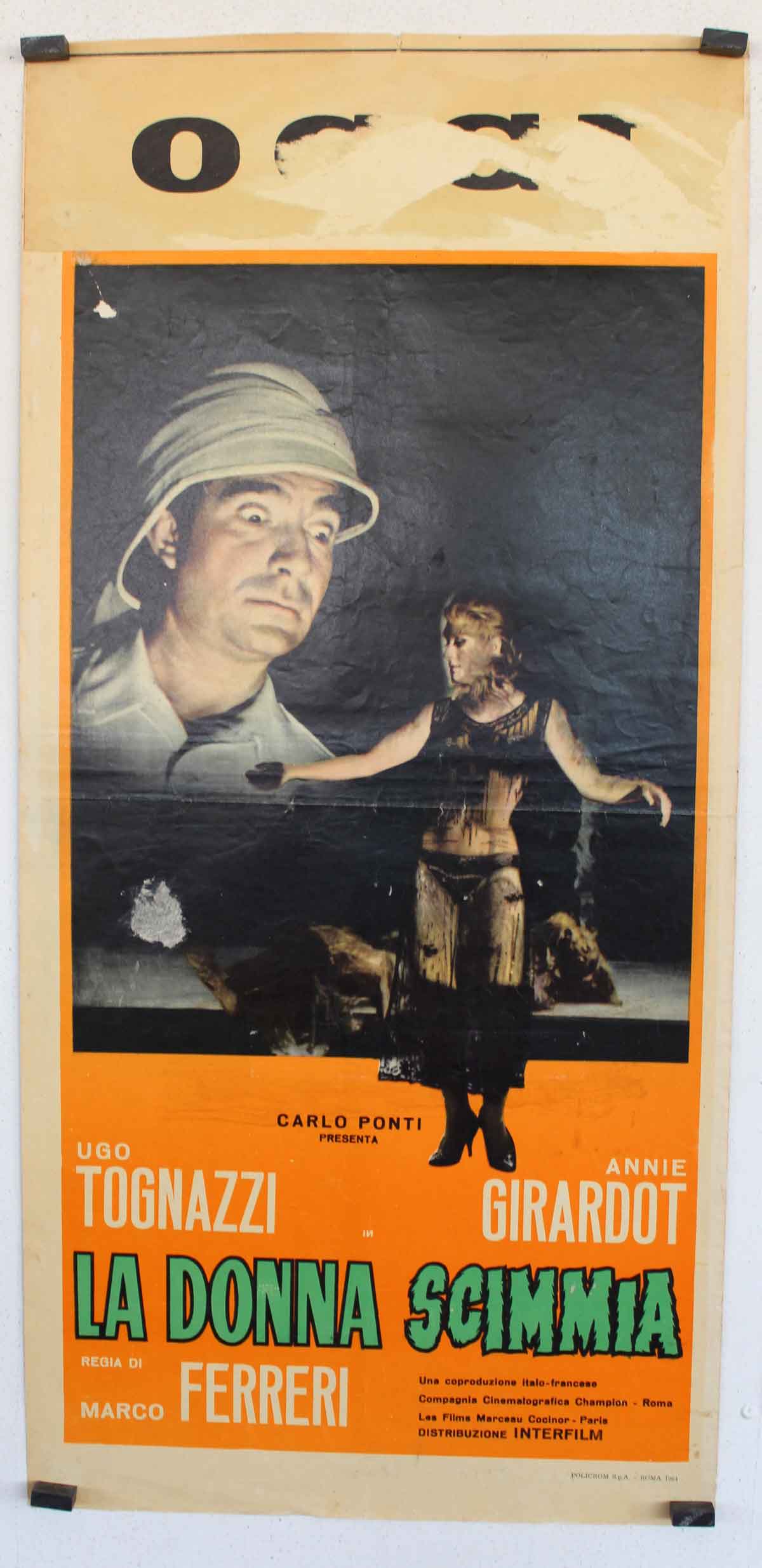 LA DONNA SCIMMIA