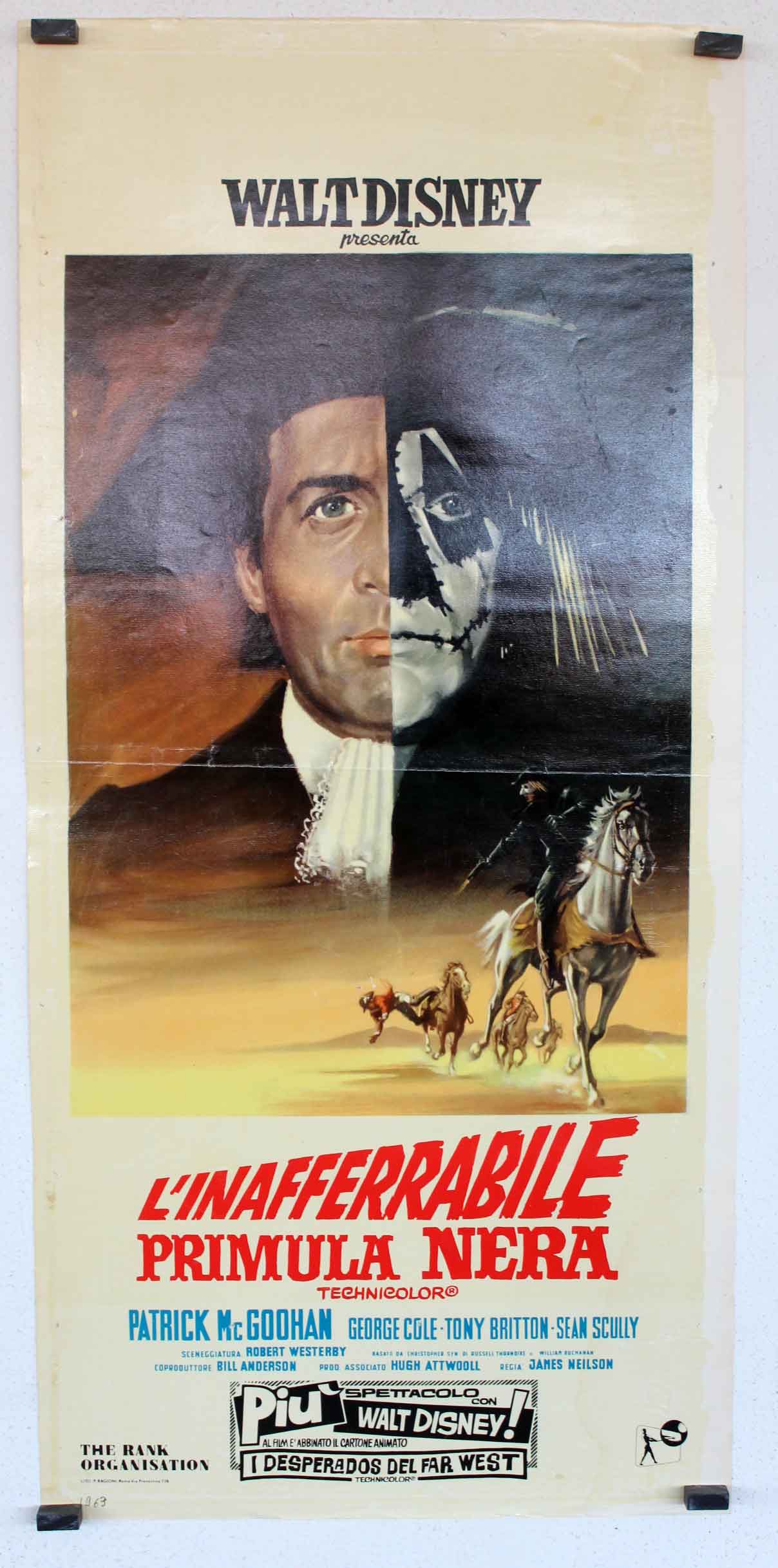 L�INAFFERRABILE PRIMULA NERA