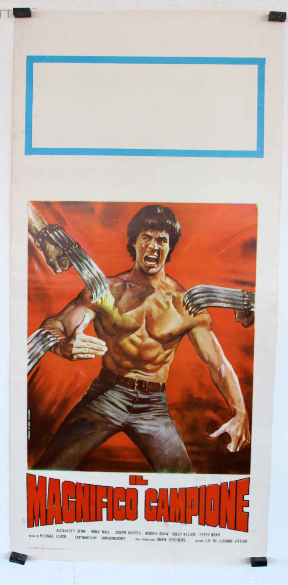 IL MAGNIFICI CAMPIONE