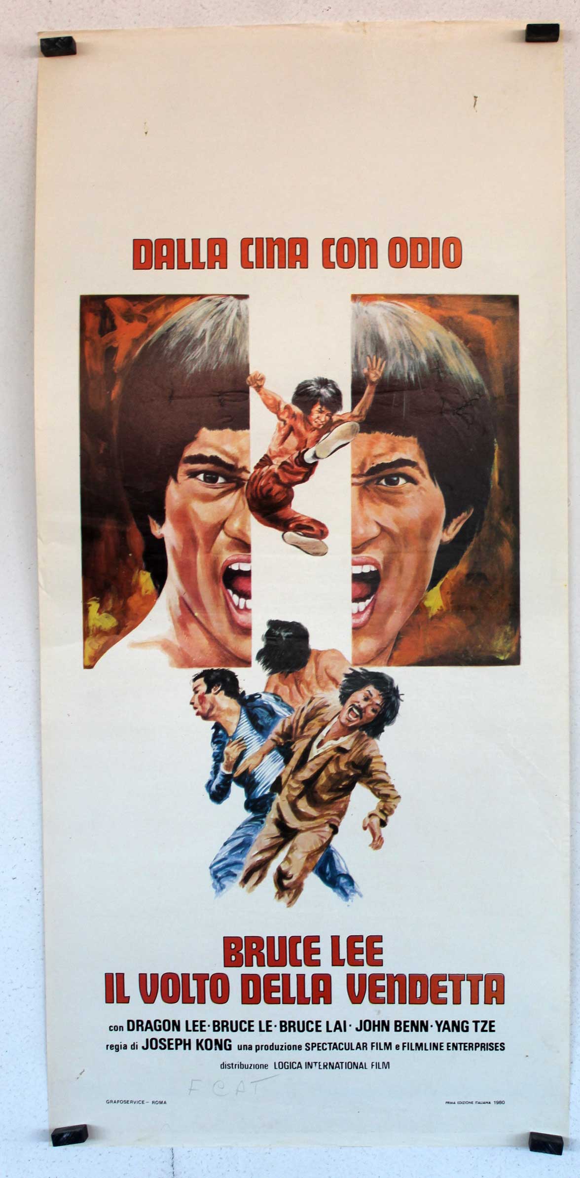 IL VOLTO DELLA VENDETTA