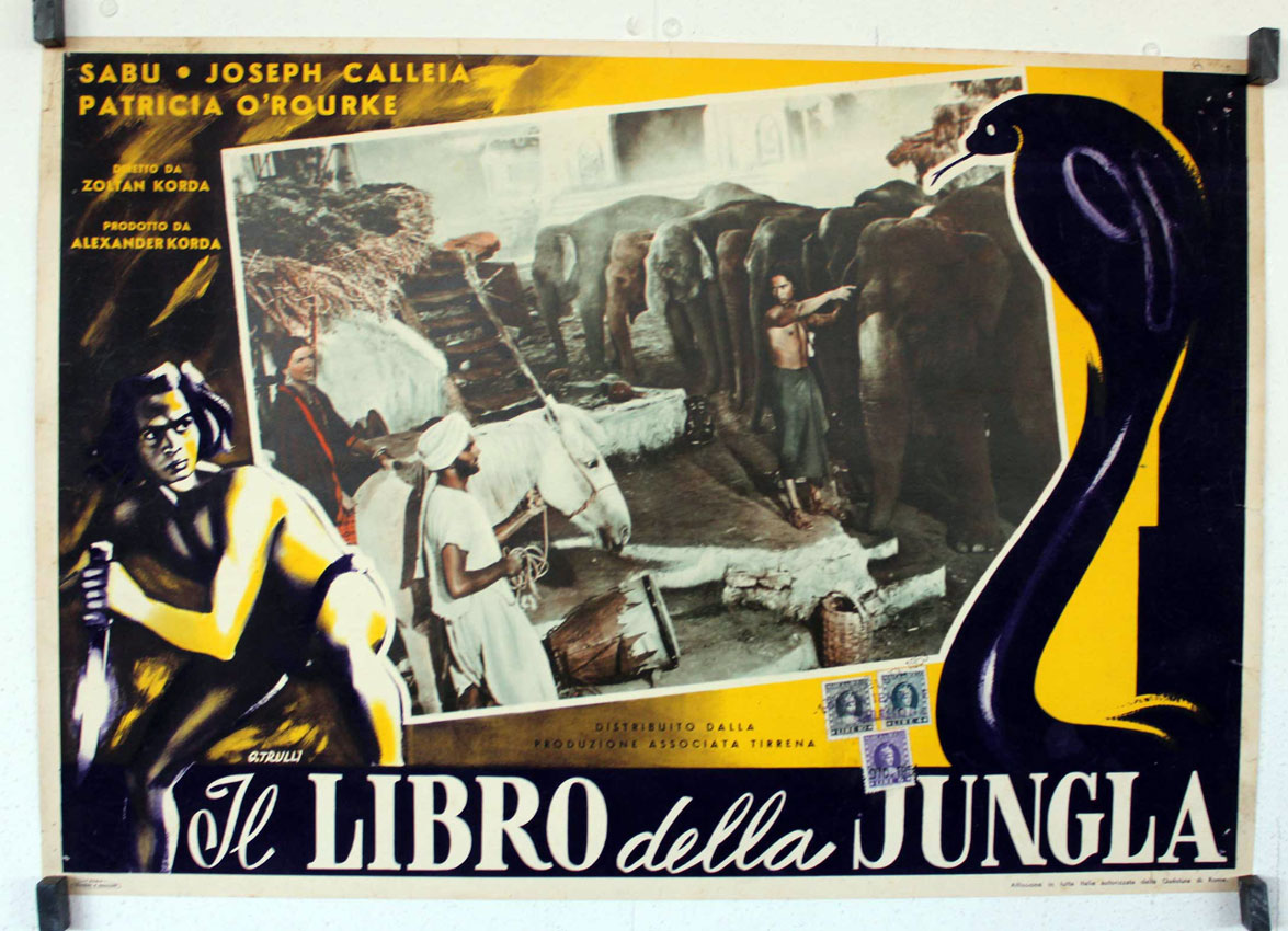 IL LIBRO DELLA JUNGLA