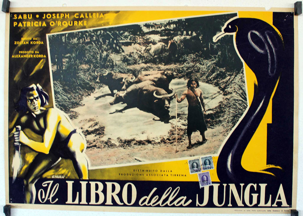 IL LIBRO DELLA JUNGLA