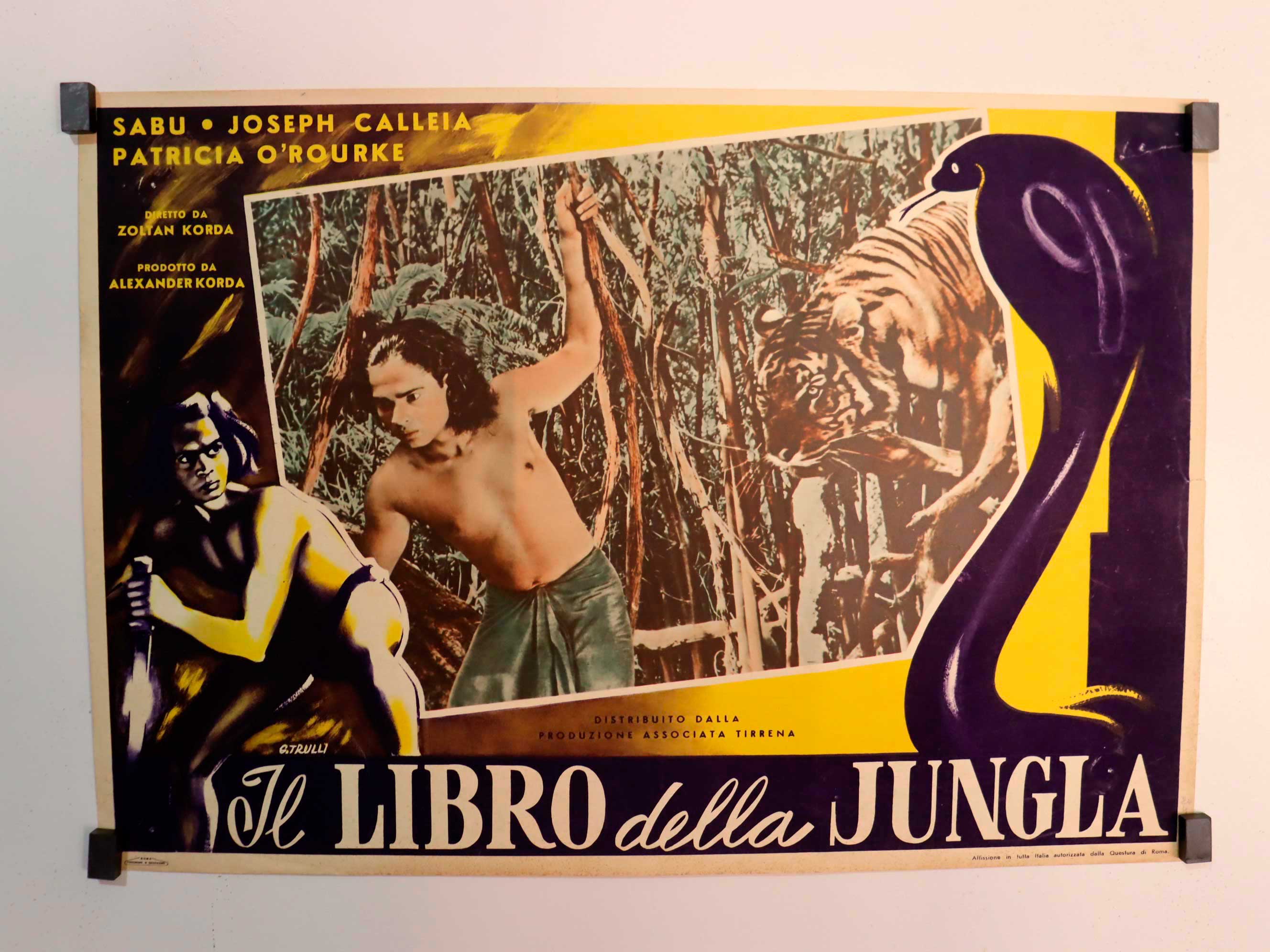 IL LIBRO DELLA JUNGLA