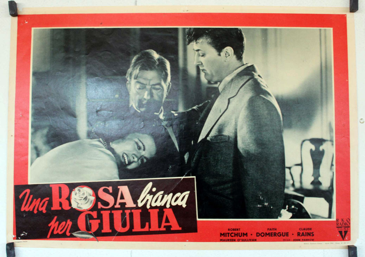 UNA ROSA BIANCA PER GIULIA