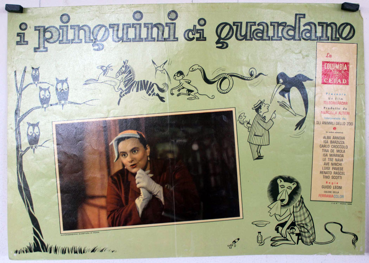 I PINGUINI CI GUARDANO