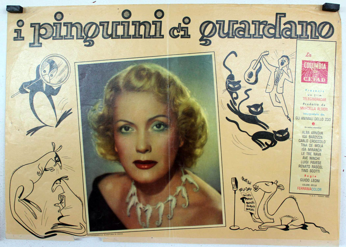I PINGUINI CI GUARDANO