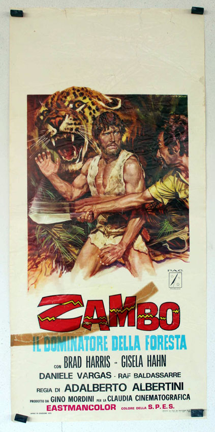 ZAMBO IL DOMINATORE DELLA FORESTA