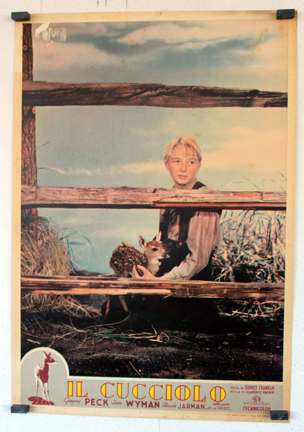 IL CUCCIOLO