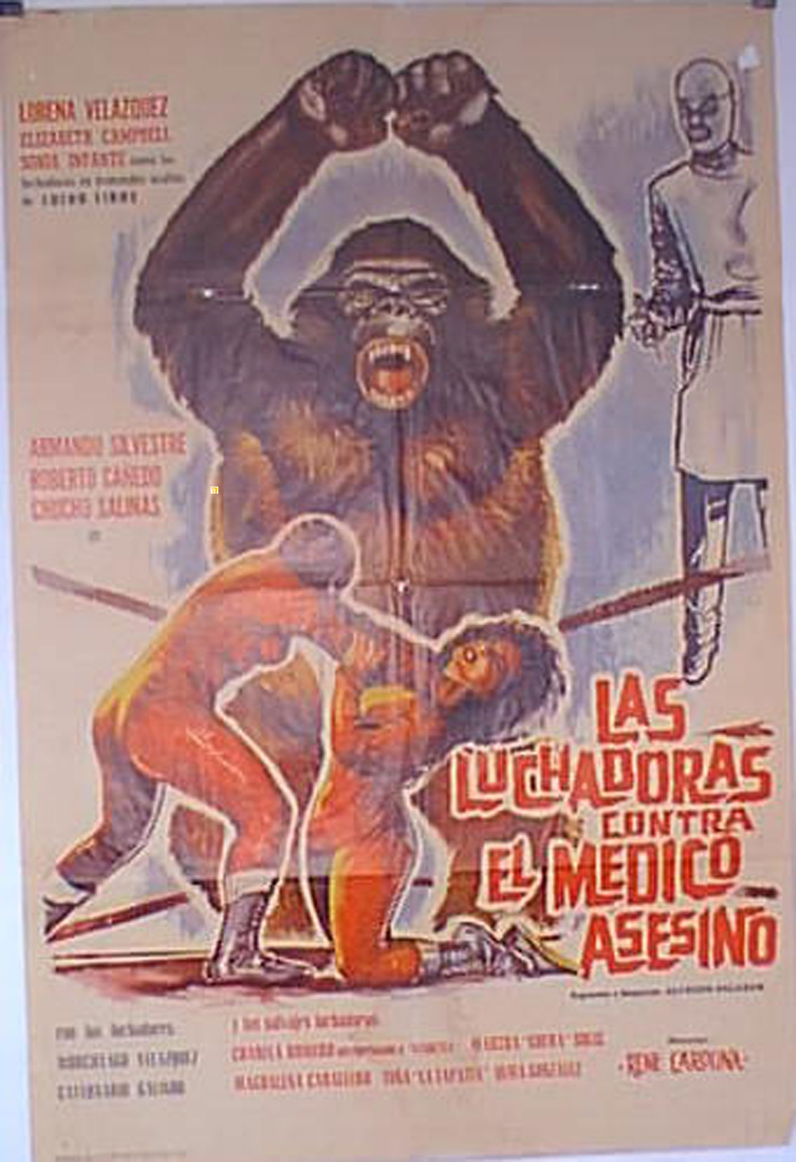 LUCHADORAS CONTRA EL MEDICO ASESINO, LAS