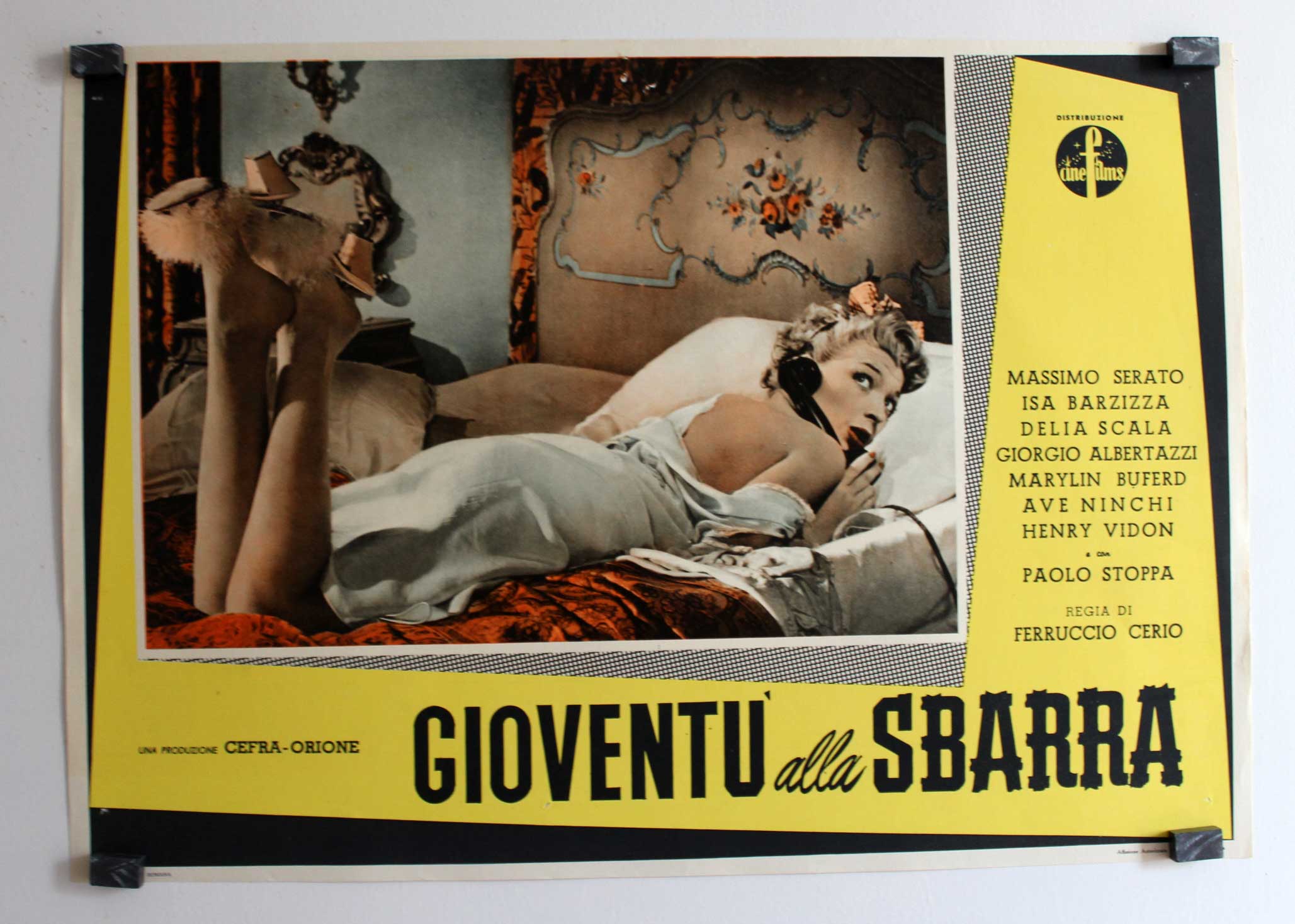 GIOVENTU ALLA SBARRA