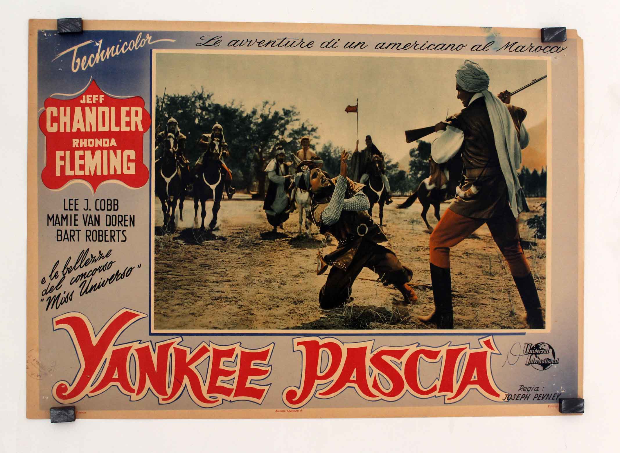 YANKEE PASCIA