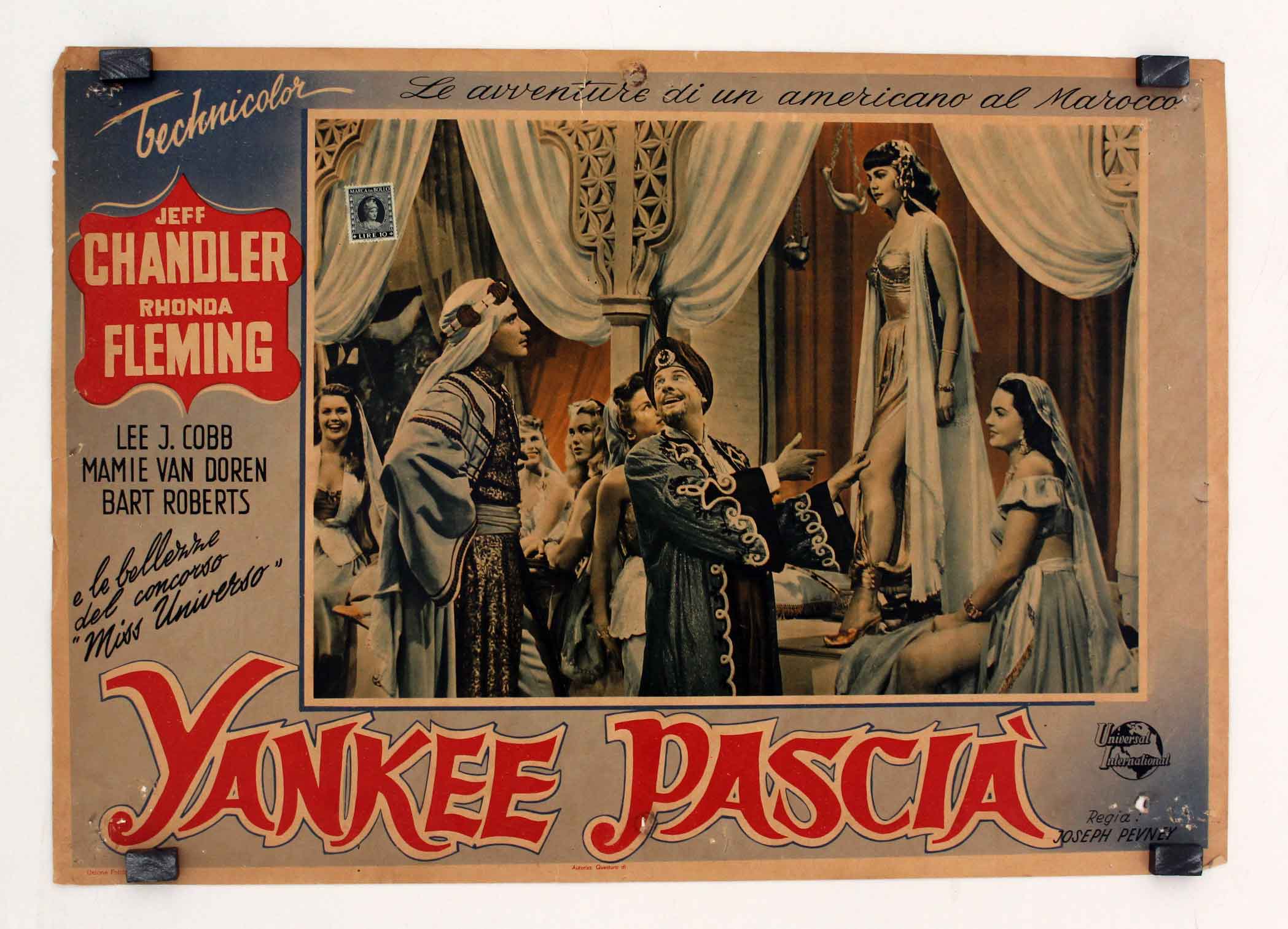YANKEE PASCIA