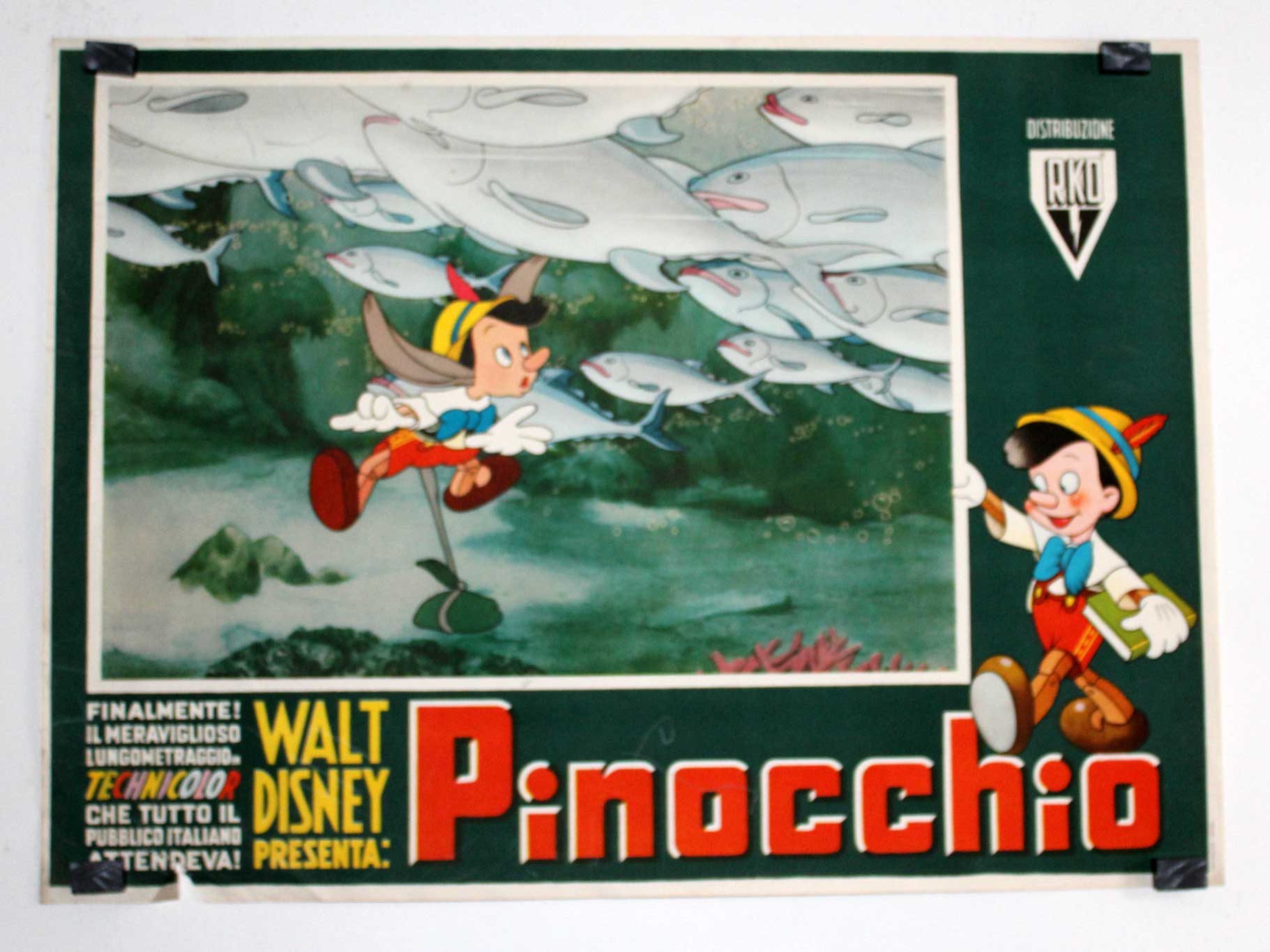 PINOCCHIO