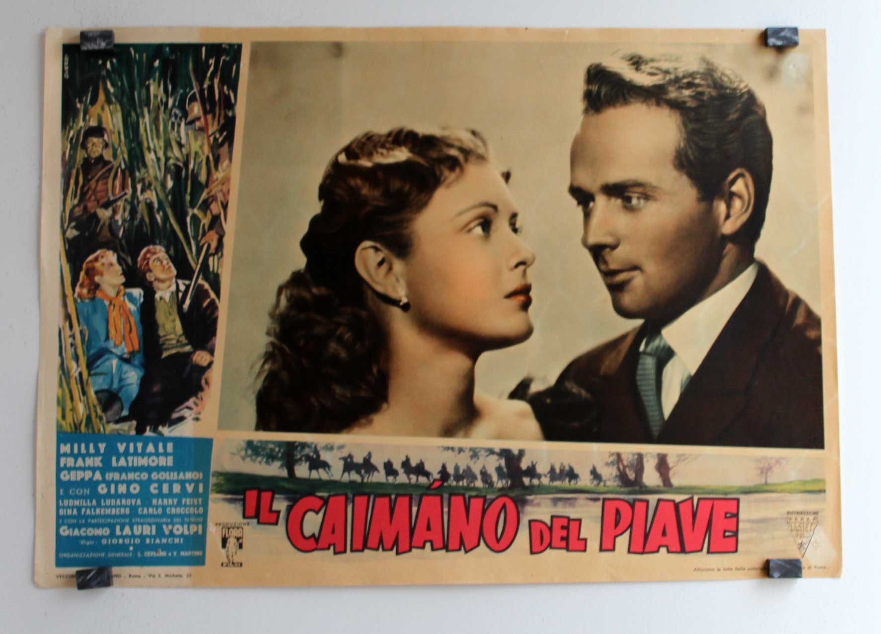 IL CAIMANO DEL PIAVE