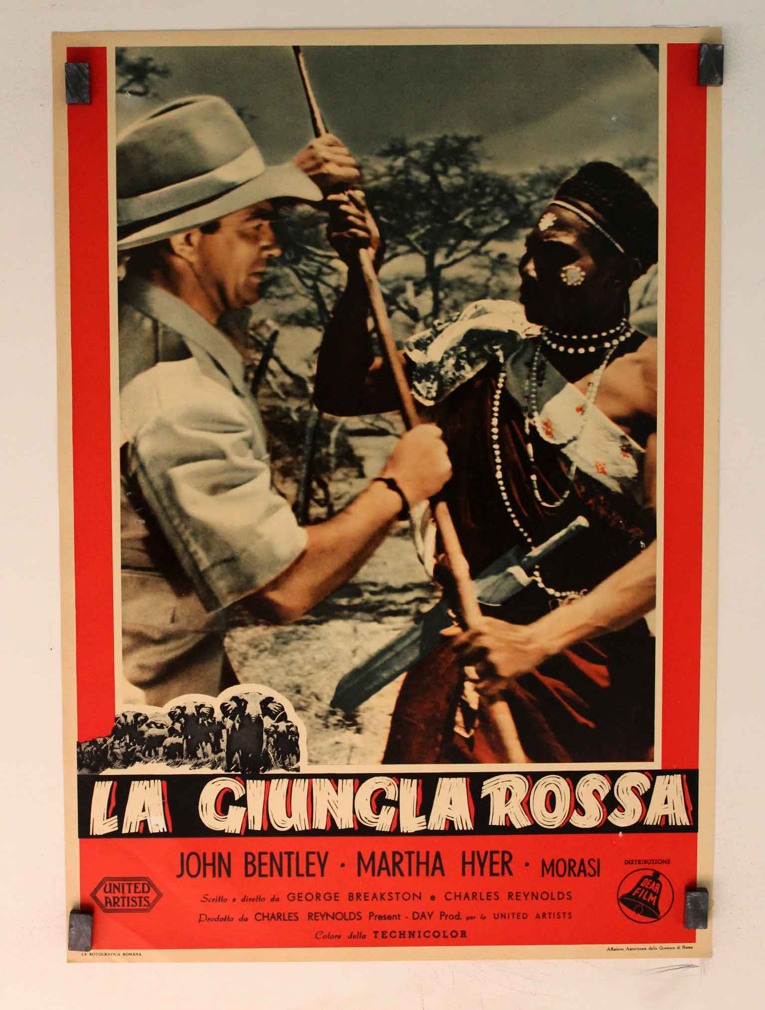 LA GIUNGLA ROSSA
