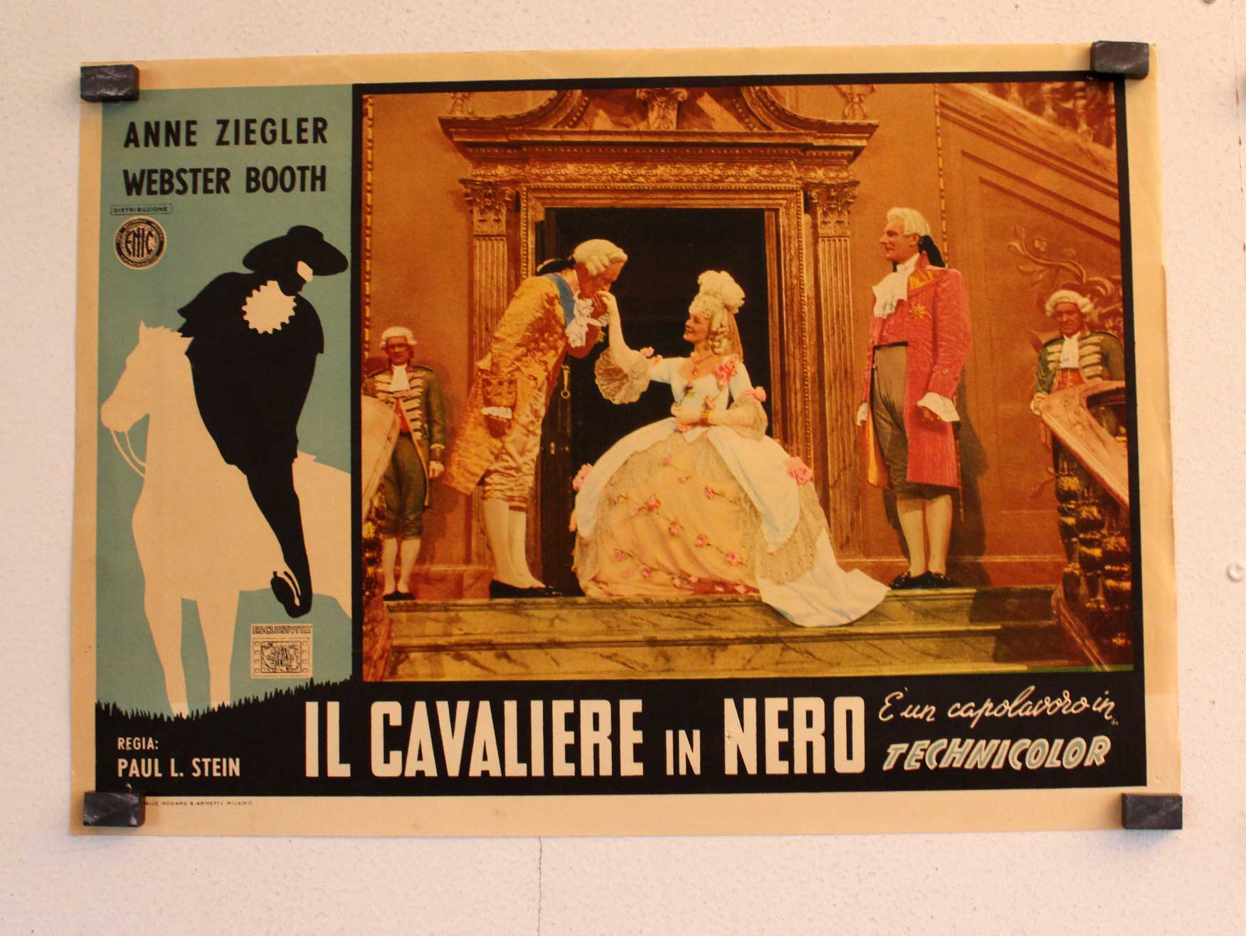 IL CAVALIERE IN NERO