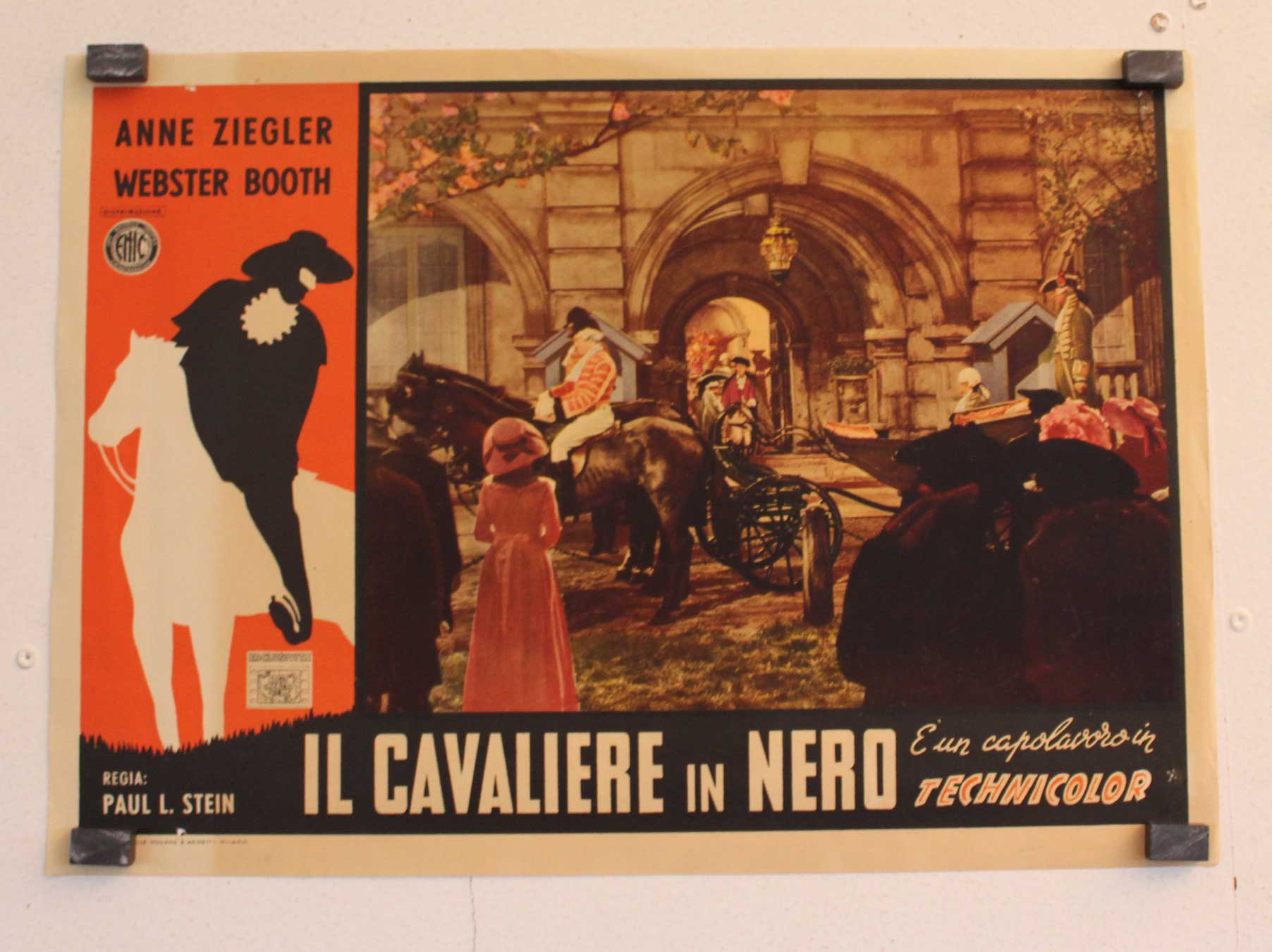 IL CAVALIERE IN NERO