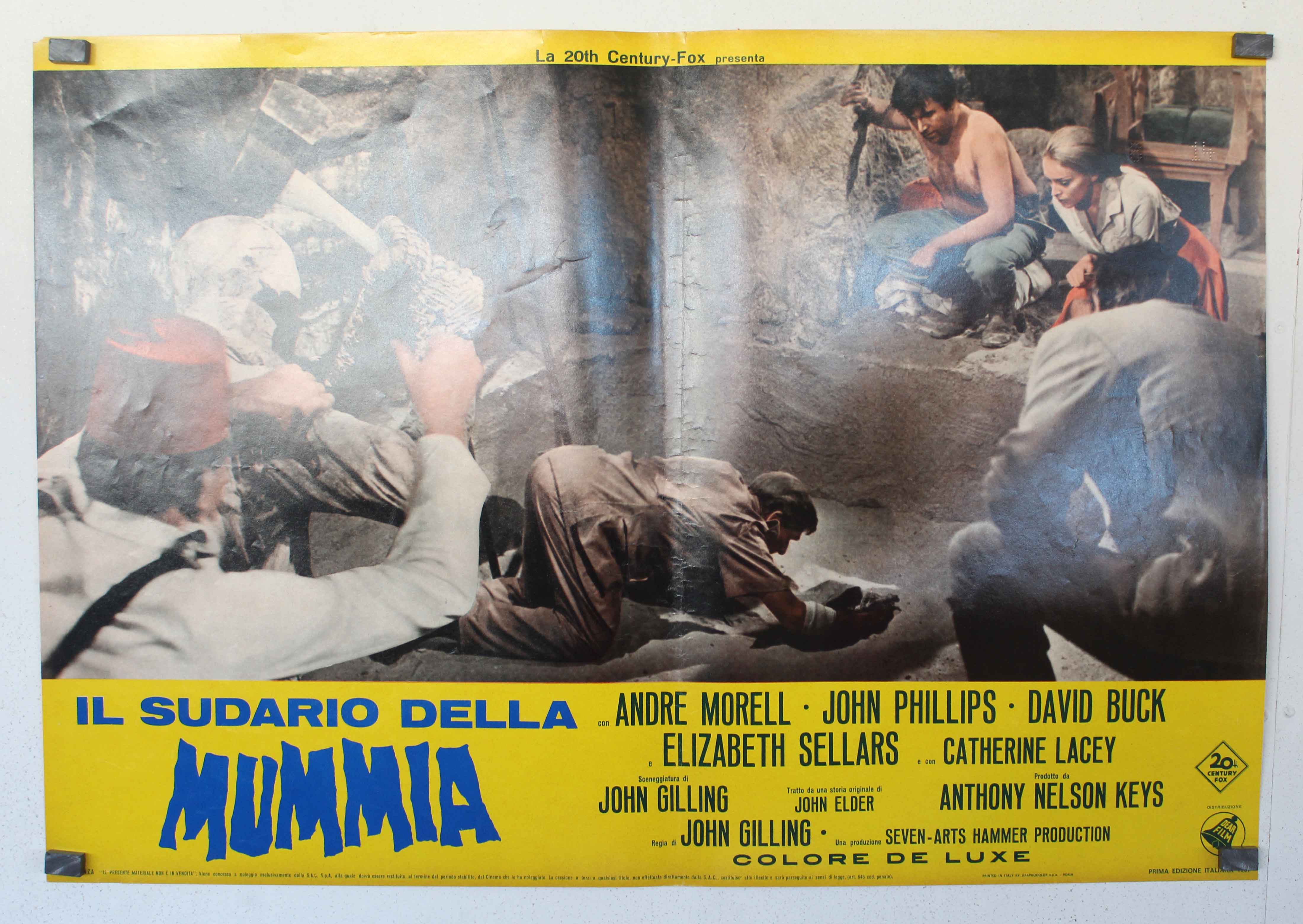 IL SUDARIO DELLA MUMMIA