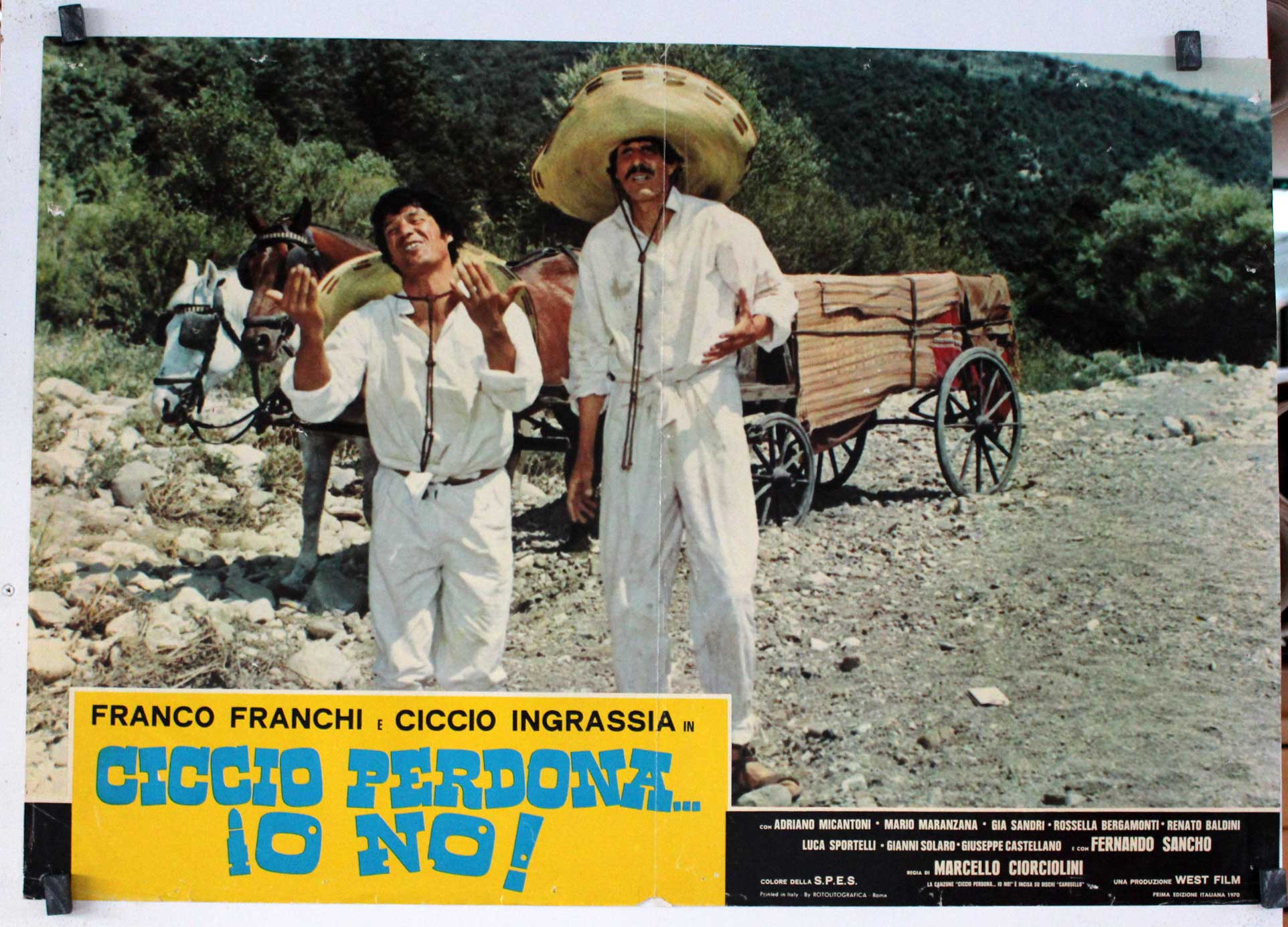 CICCIO PERDONA... O NO