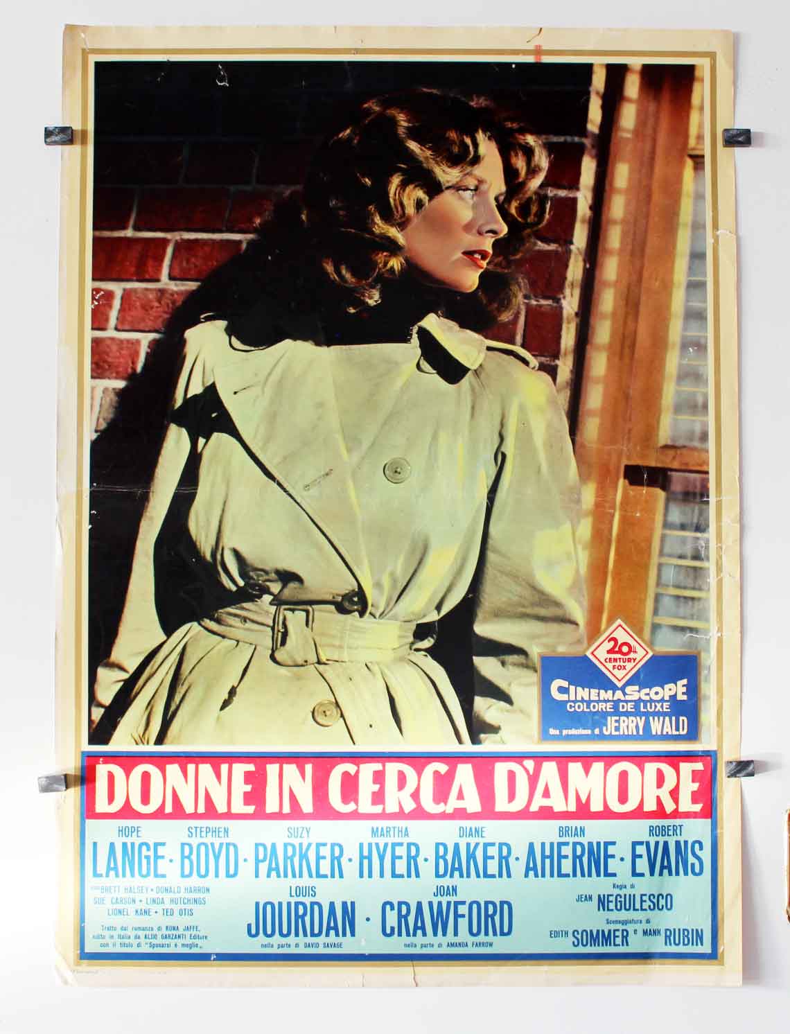 DONNE IN CERCA CAMORE