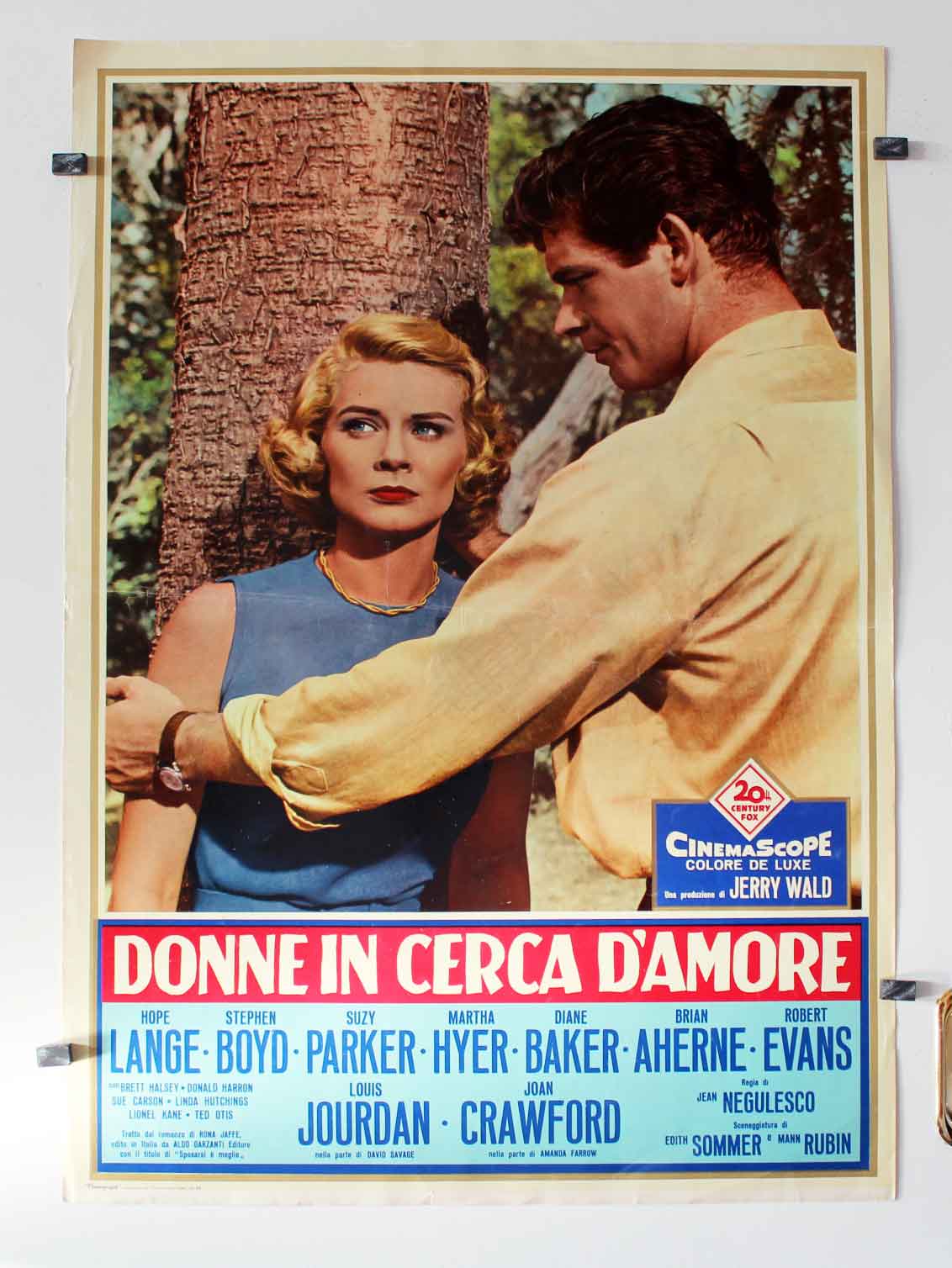 DONNE IN CERCA CAMORE