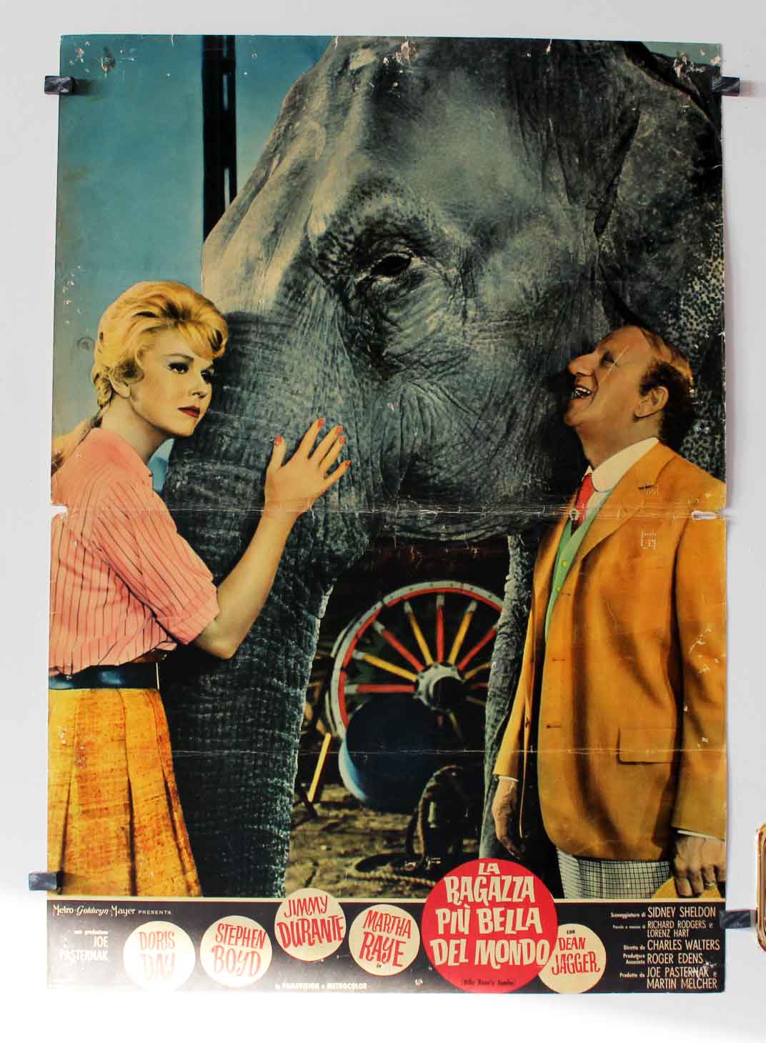 LA RAGAZZA PIU BELLE DEL MONDO