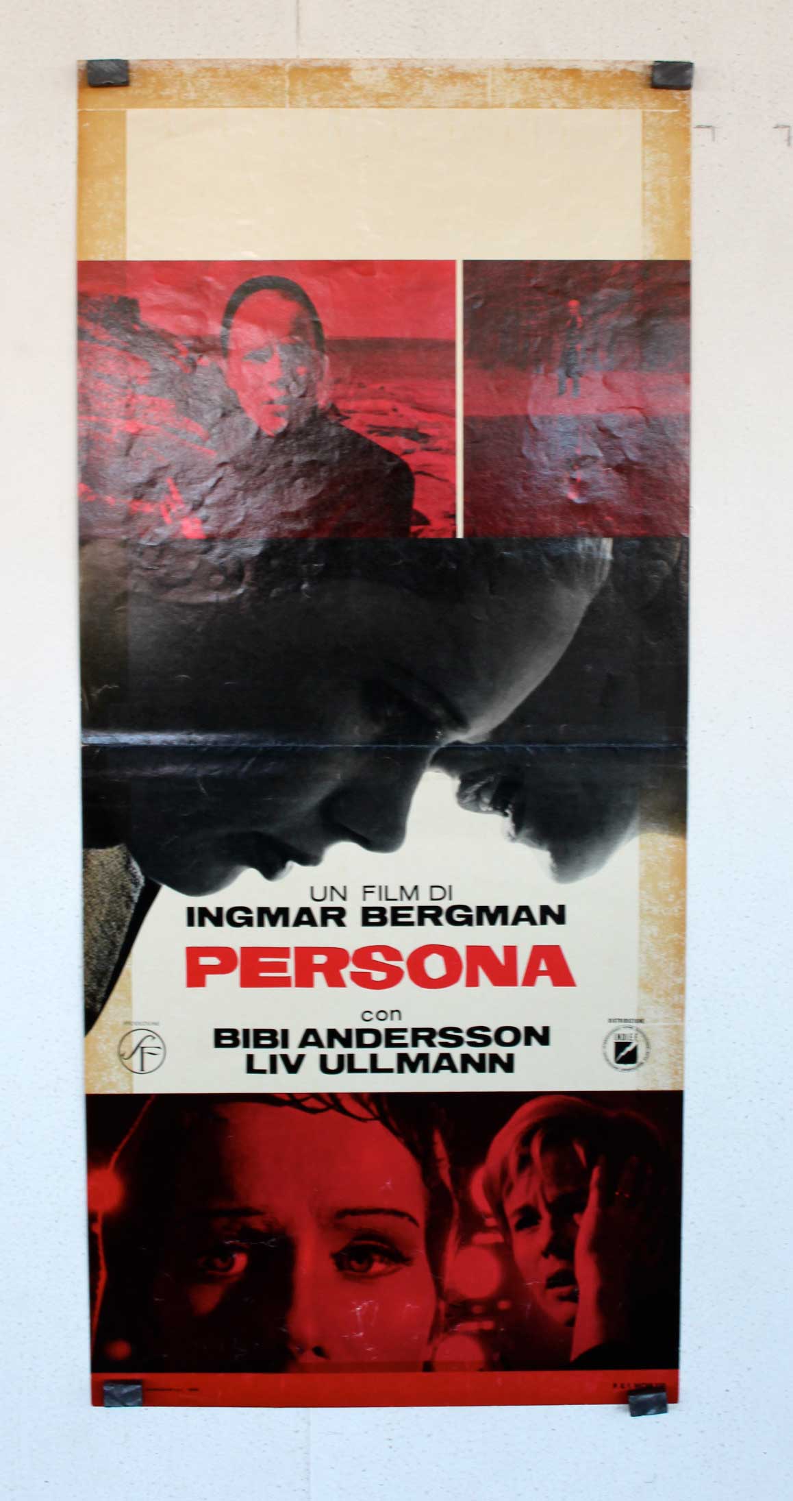 PERSONA