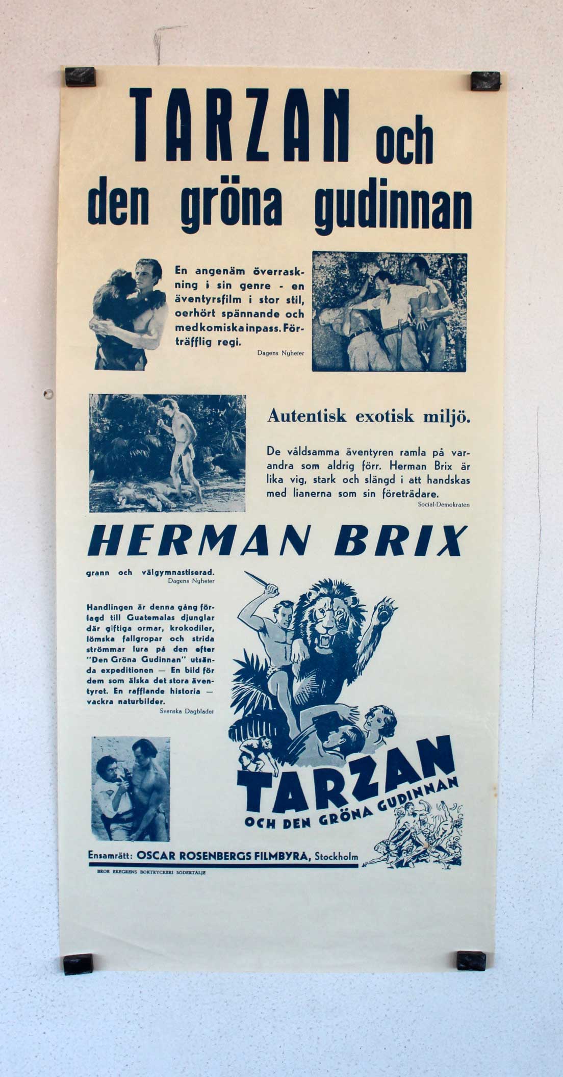 TARZAN OCH DEN GRONA GUDINNAN