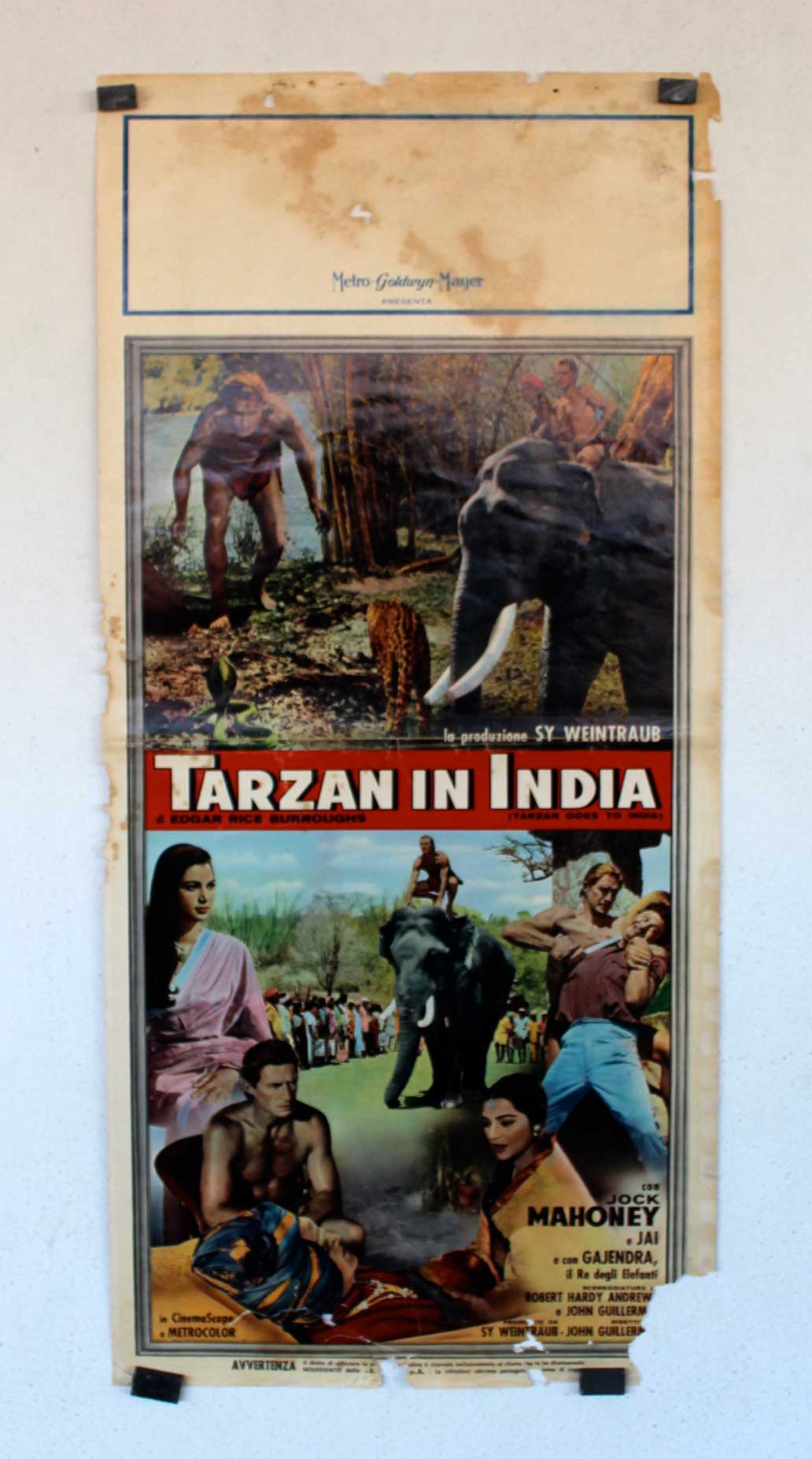 TARZAN IN INDIA