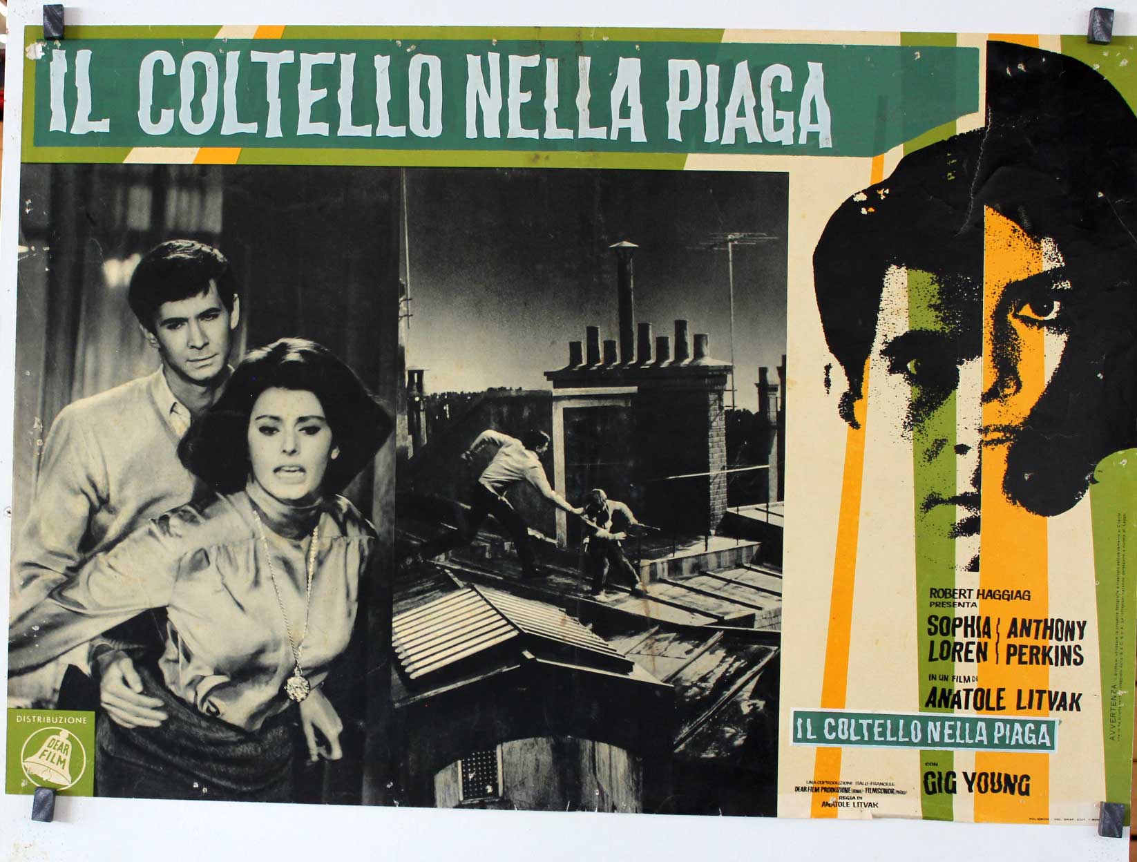 IL COLTELLO NELLA PIAGA