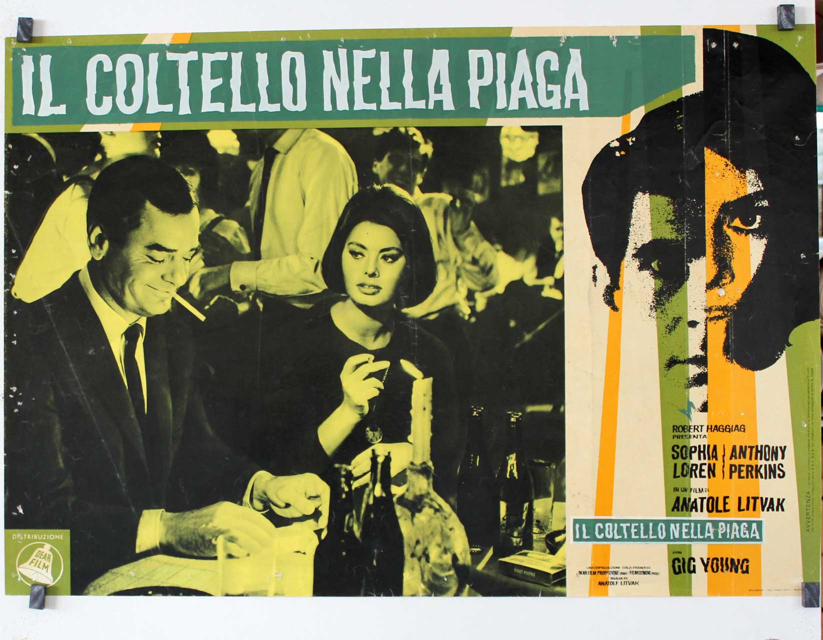 IL COLTELLO NELLA PIAGA