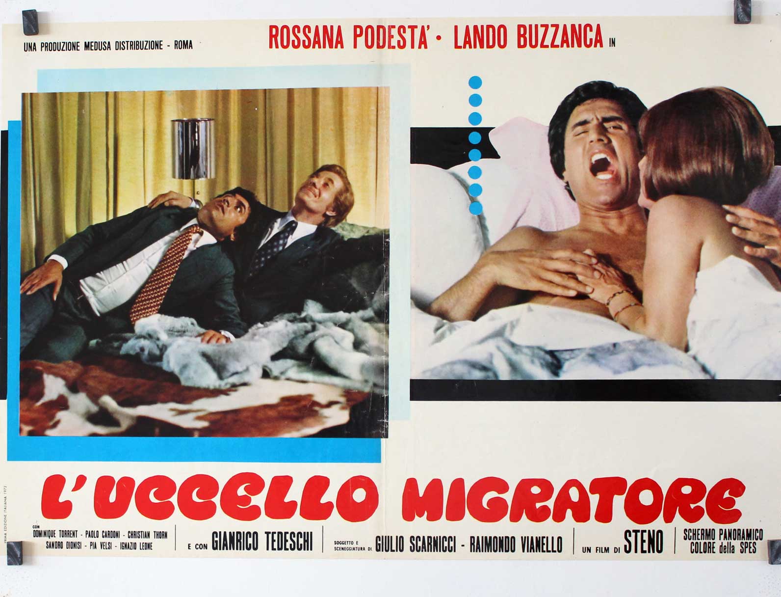 L�UCCELLO MIGRATORE