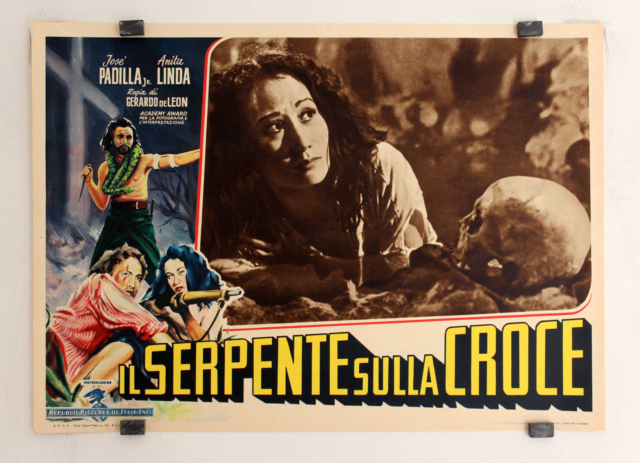 IL  SERPENTE SULLA CROCE