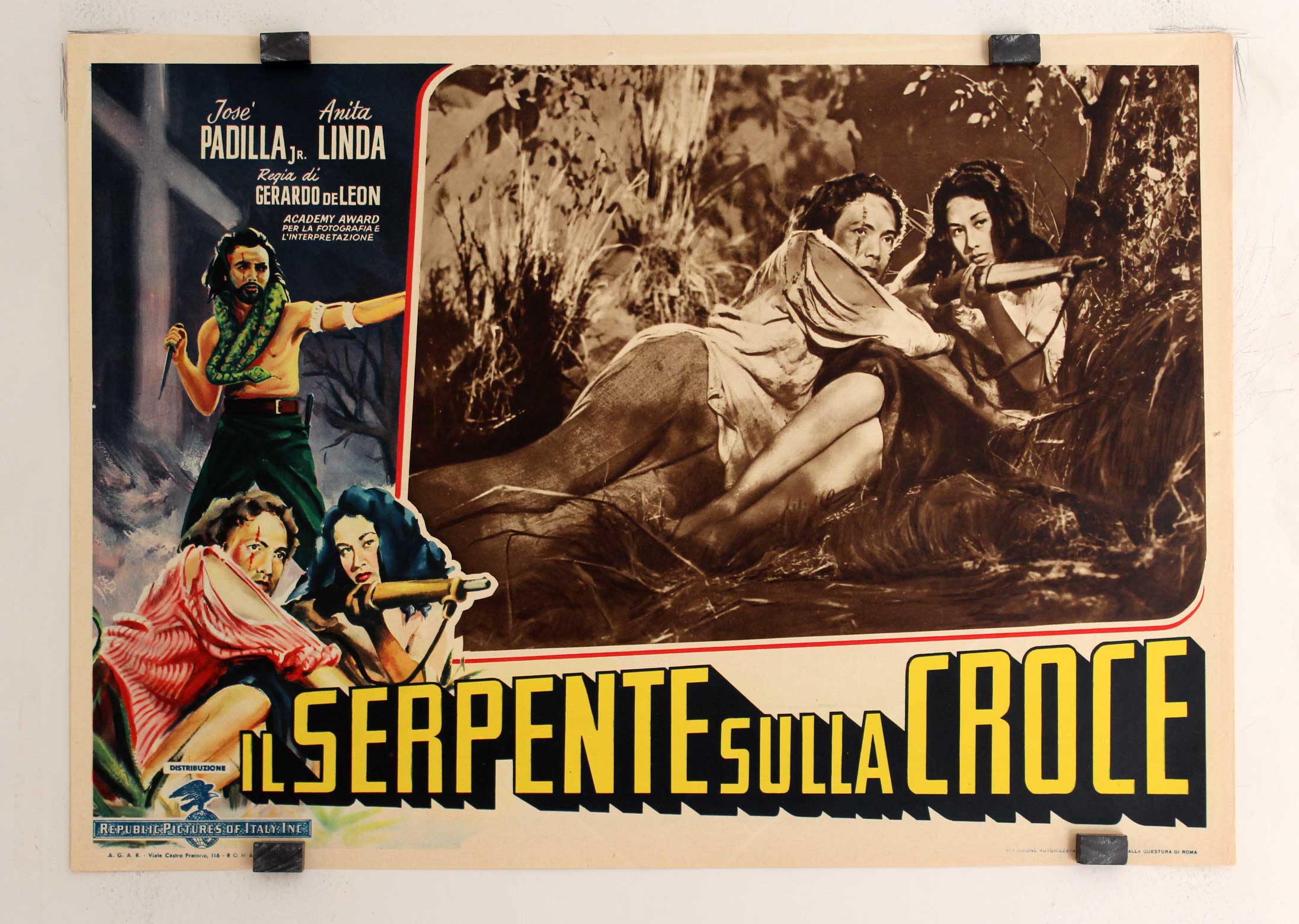 IL  SERPENTE SULLA CROCE