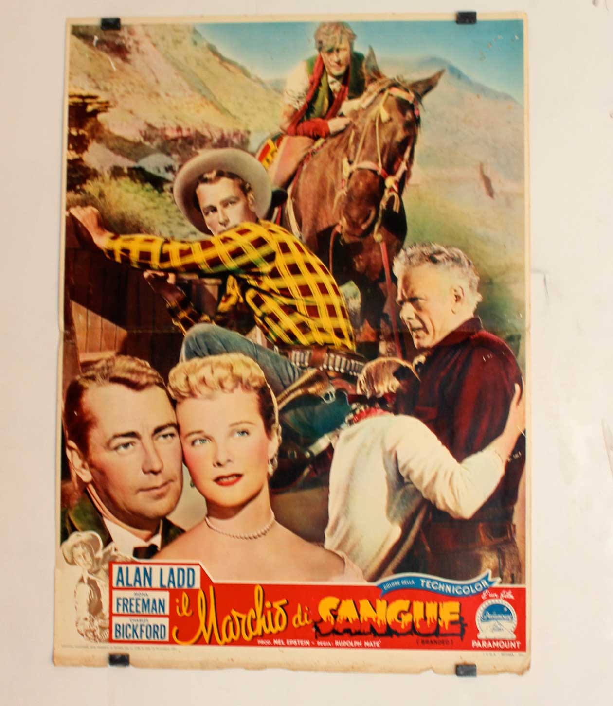 IL MARCHIO DI SANGUE