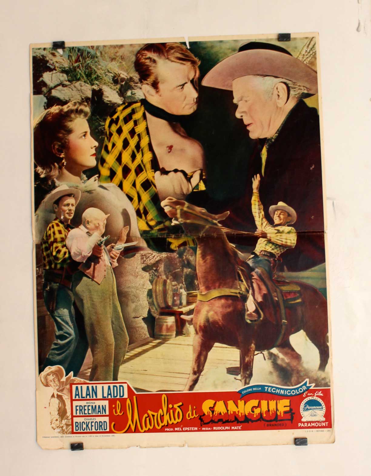 IL MARCHIO DI SANGUE