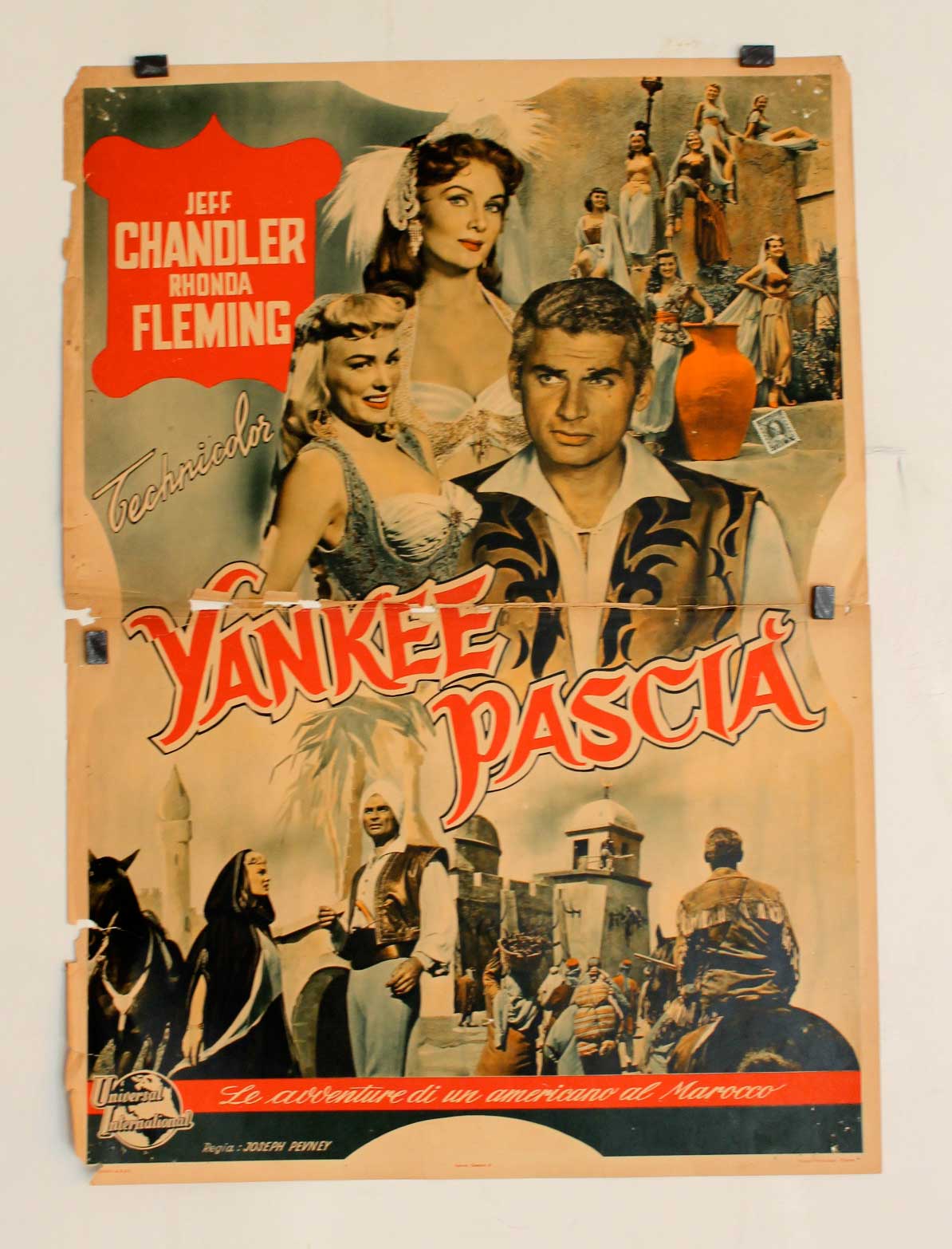 YANKEE PASCIA