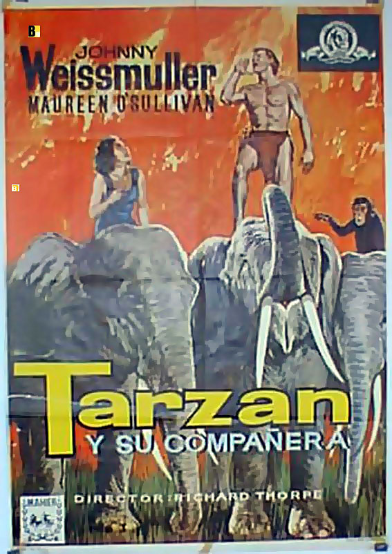 TARZAN Y SU COMPAERA